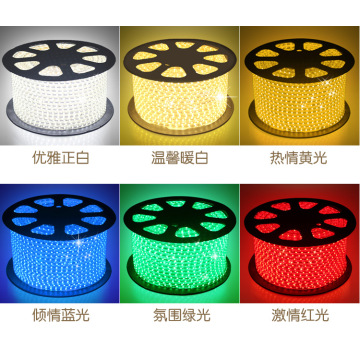 Outdoor AC110V led strip