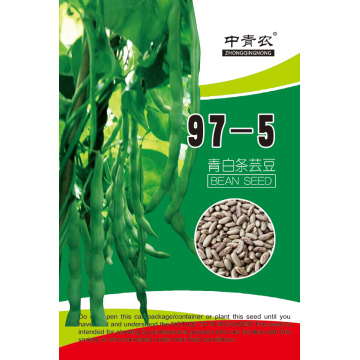 97-5 beans seeds in vegetable seeds for sale