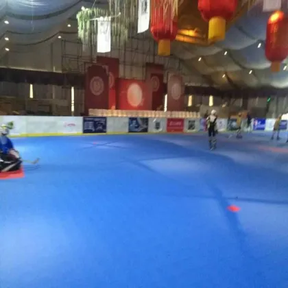 PP suspend roller skating flooring