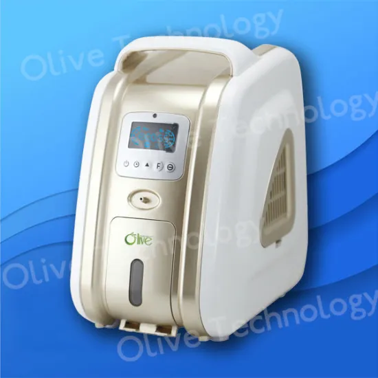 Respiratory Health Care Portable Oxygen Concentrator 10 lpm