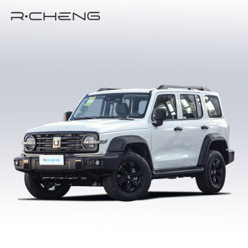 Hot Sale GWM Tank 300 Compact SUV 4x4 Off-Road Petrol Car