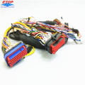 Conjunto de mazo de cables OEM con conector sellado Molex