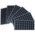 Plastic Rice Seed Growing Tray 200cell