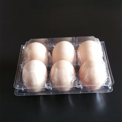 Foldable plastic blister chicken egg tray