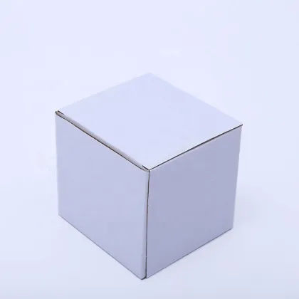 Corrugated Paper Cardboard Carton Packaging Box for Shipping