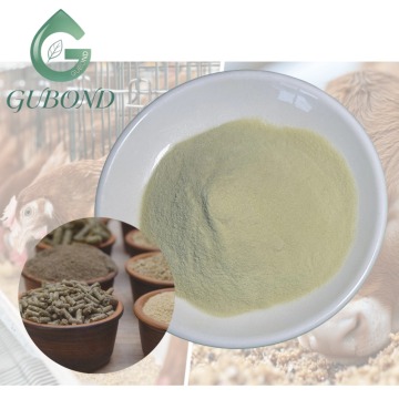 مسحوق إنزيم بروتين العظم 300.000-400.000 وحدة/جرام