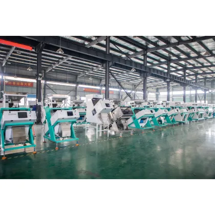 Photo Processing Technology for Cashew Color Sorter Machine