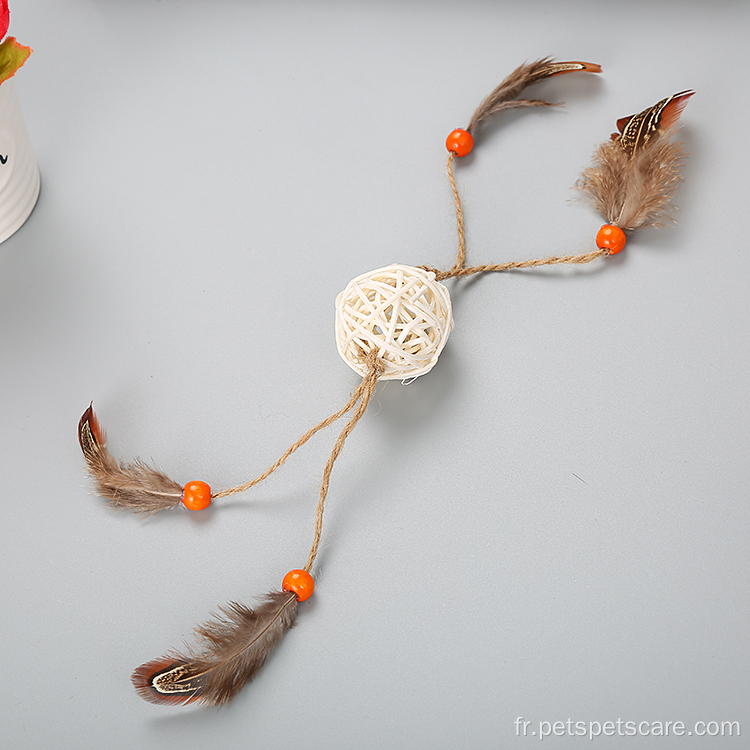 Boule de rotin creux avec jouet à boule de chat en plumes