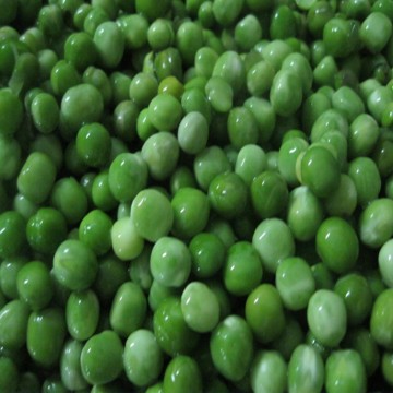best quality pea for thailand Pakistan USA frozen green pea, iqf green pea, frozen pea ,iqf pea