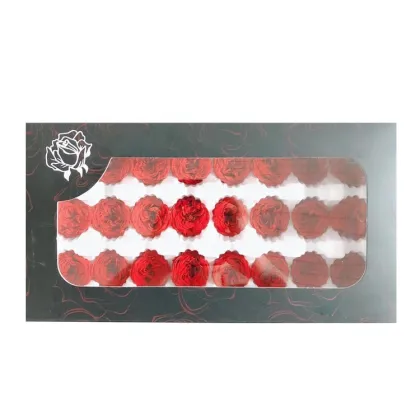 High Quality A Grade Peony Preserved David Austin Roses