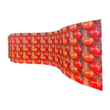 High Flexible 4K Indoor LED Movie Screen P3.9 P2.9 LED Panel for Stage Background