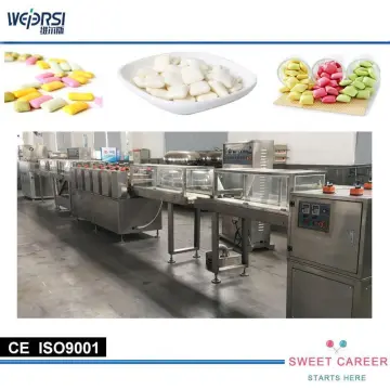 machine fabrication chewing-gum factory