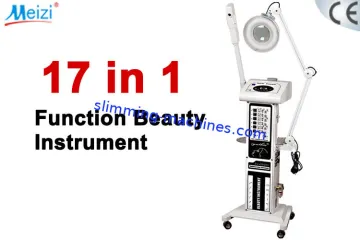 High Frequency 17 In 1 Salon Multifunction Beauty Equipment For Skin Scrubber, Galvanic