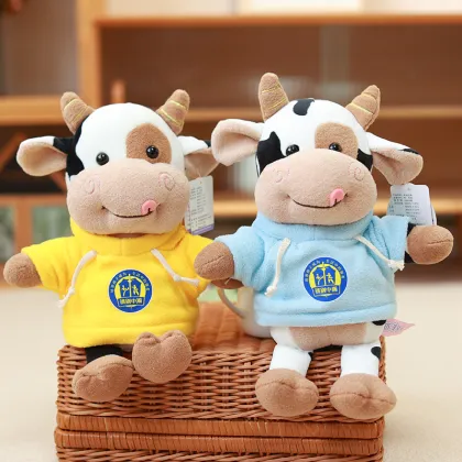 Customizable Unisex Cotton Teddy Bear Rag Doll Plush Hoodie for Anniversaries