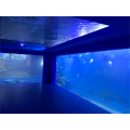 Großhandel große Acryl -Fischtanks für das Restaurant