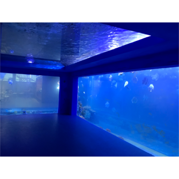 Grands réservoirs de poisson en gros en acrylique pour restaurant