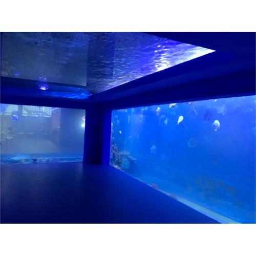 Túnel de aquário de acrílico grande de luxo