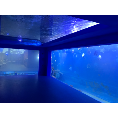 Luxe grote klantacryl -aquariumtunnel