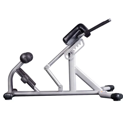 Home Exercise Equipment Back Extension Bench Roman Chair
