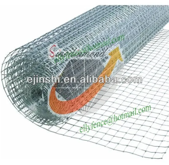 1"x1" Galvanized Metal Welded Wire Mesh, Professional Manufacturer, Hot Sale