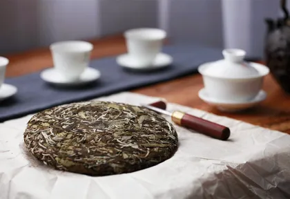 Organic Fuding cake tea white tea