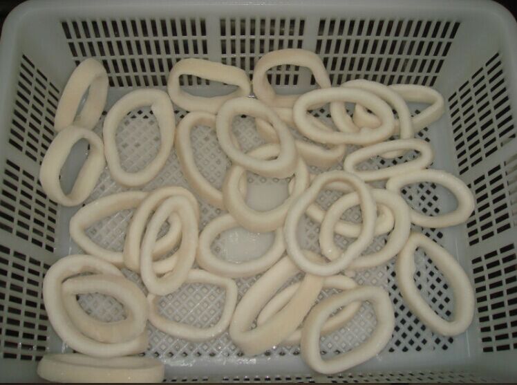 Frozen Illex Squid Ring 20 Glazing