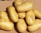 potatos