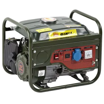Gasoline Generator (QL-1300)