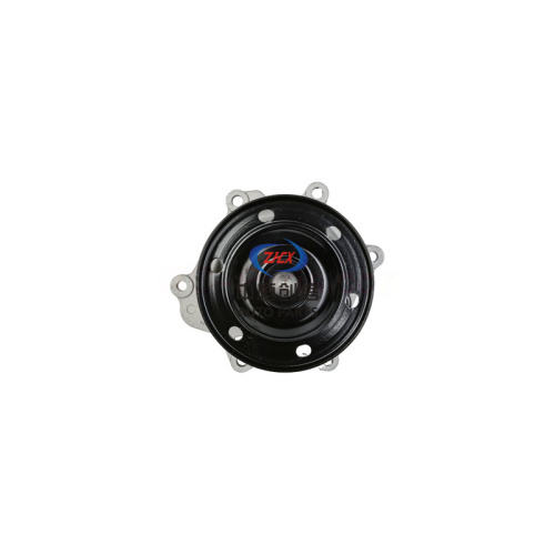 GAC Trumpchi GS8 GA8 GS7 এর জন্য জলের পাম্প