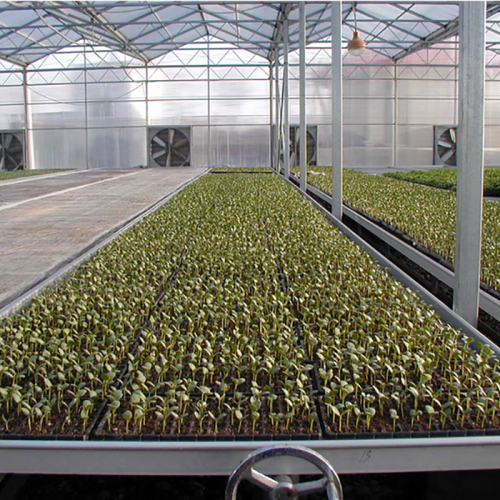 Farming irrigation tray hydroponic greenhouse rolling bench
