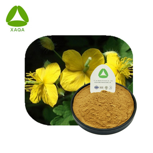 Baiqu Vegetable Extract Baiqu Vegetable Extract Powder Sanguinarine Factory