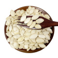 Semillas de calabaza no GMO Nuevas semillas secas