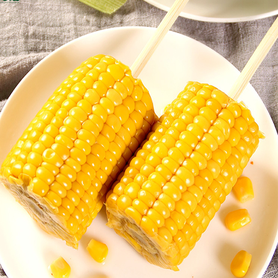 Whole Double Packed Sweet Corn Cob