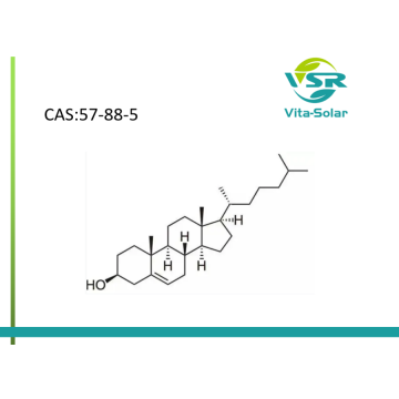 Source non animale de cholestérol végétal