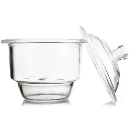 Laboratory Glass Desiccator with Perforated Plate for Testing Instruments