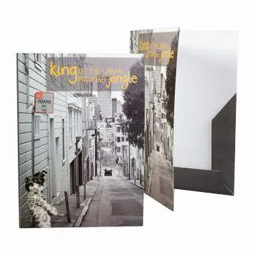 Paper Folding File Folders, Durable, Recyclable, Eco-friendly, Customized Designs Welcomed