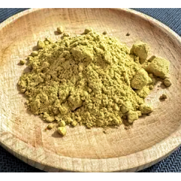 Premium Lophatherum Herb Extract