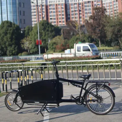 electric bike electric bike wheel motor ecargo bike