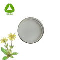 Extrato de flor de Arnica Montana Cosmética Arnica Montana Orgânica