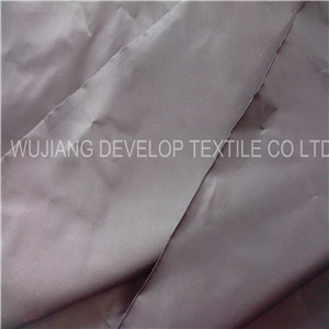 330t Twill Polyamide Fabric with PA Coating for Garment Fabric (DN3059A)