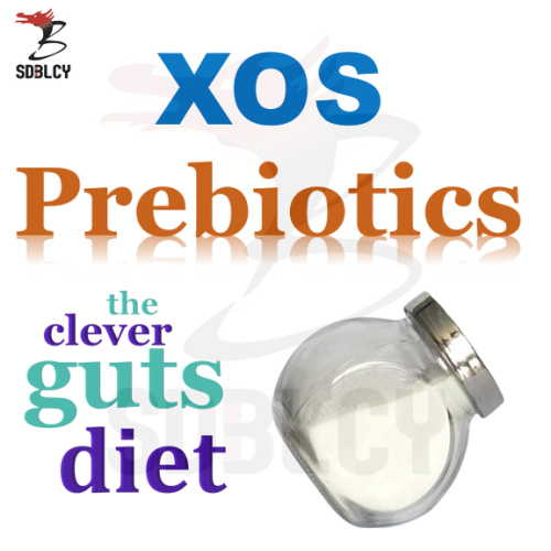 Ingrediente alimentare xilo-oligosaccaride XOS liquido e potenza
