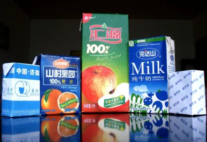 Brick Carton Petra Pak Beverage Filling Packaging Machinery (BZ-1000)