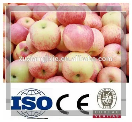 Complete Apple Production Line