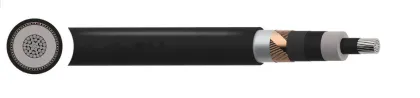 NA2XS(FL)2Y 10(12)kV Cable