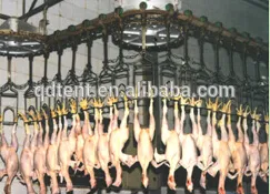 practical and economic duck slaughtering equipment duck slaughter line