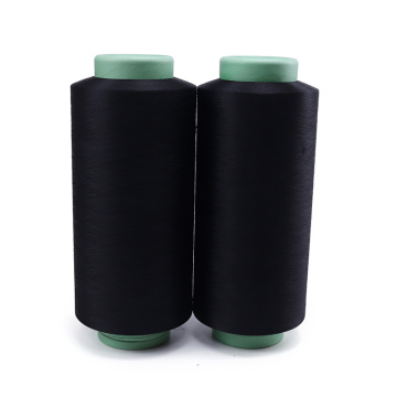 Động lực học polyester dẫn điện