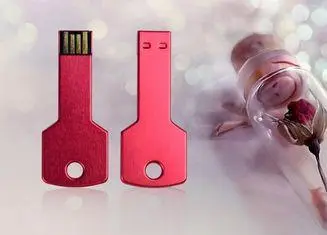 Bulk 1GB - 64GB High Speed Metal Key USB Flash Drive , FCC