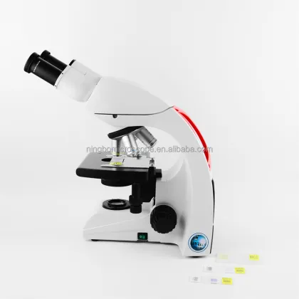 Original DM500 Biological Microscope with 40x-1000x Magnification - Binocular Scope