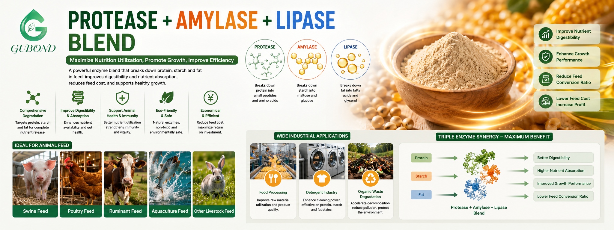 Protease + Amylase + Lipase Blend (6)