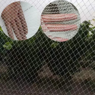 Hdpe Insect Repellent Net for Greenhouse Anti-Aphid Protection